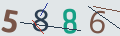 verifycode